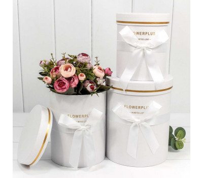 Коробки набор 3 шт. цилиндр с бантом FLOWERPLUS белый 16*16*22 7201380/1